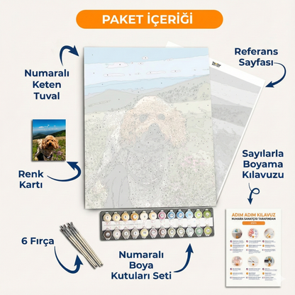 Özel Numaralı boyama kiti